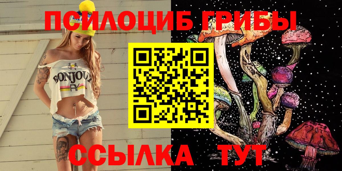дарнет шоп  Вход с VPN  Среднеуральск  Псилоцибиновые грибы Psilocybe 